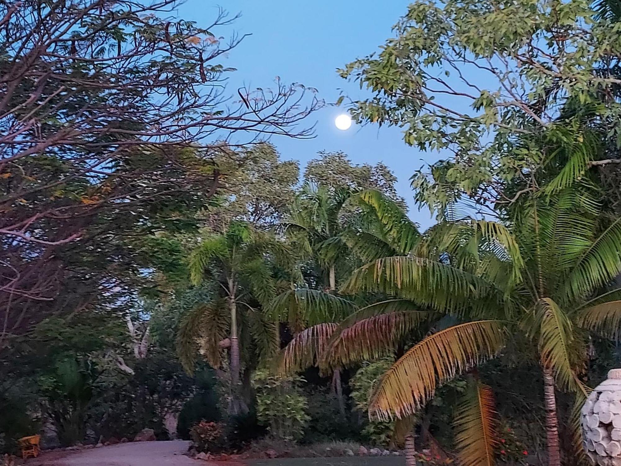 Almost Off Grid Tranquillity Katherine Exterior photo